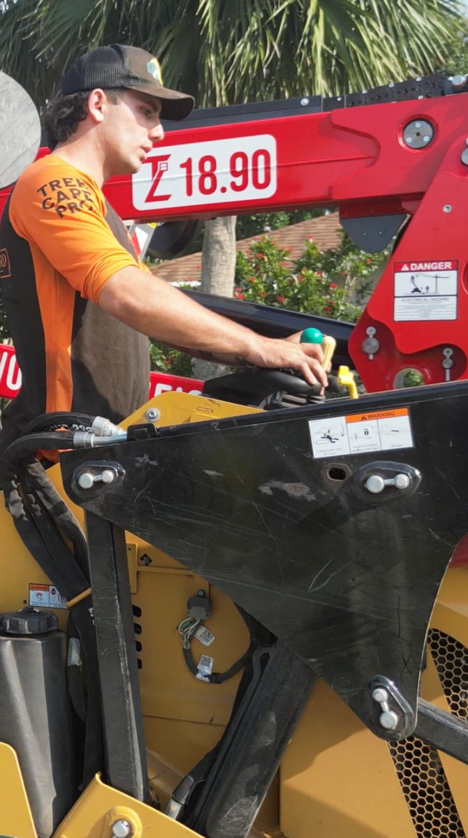 Southern Standard crew on tree removal