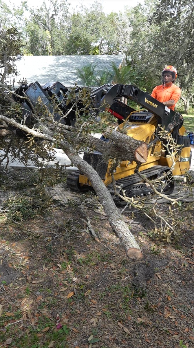 Elijah on the Vermeer mini-loader — Southern Standard oak removal crew