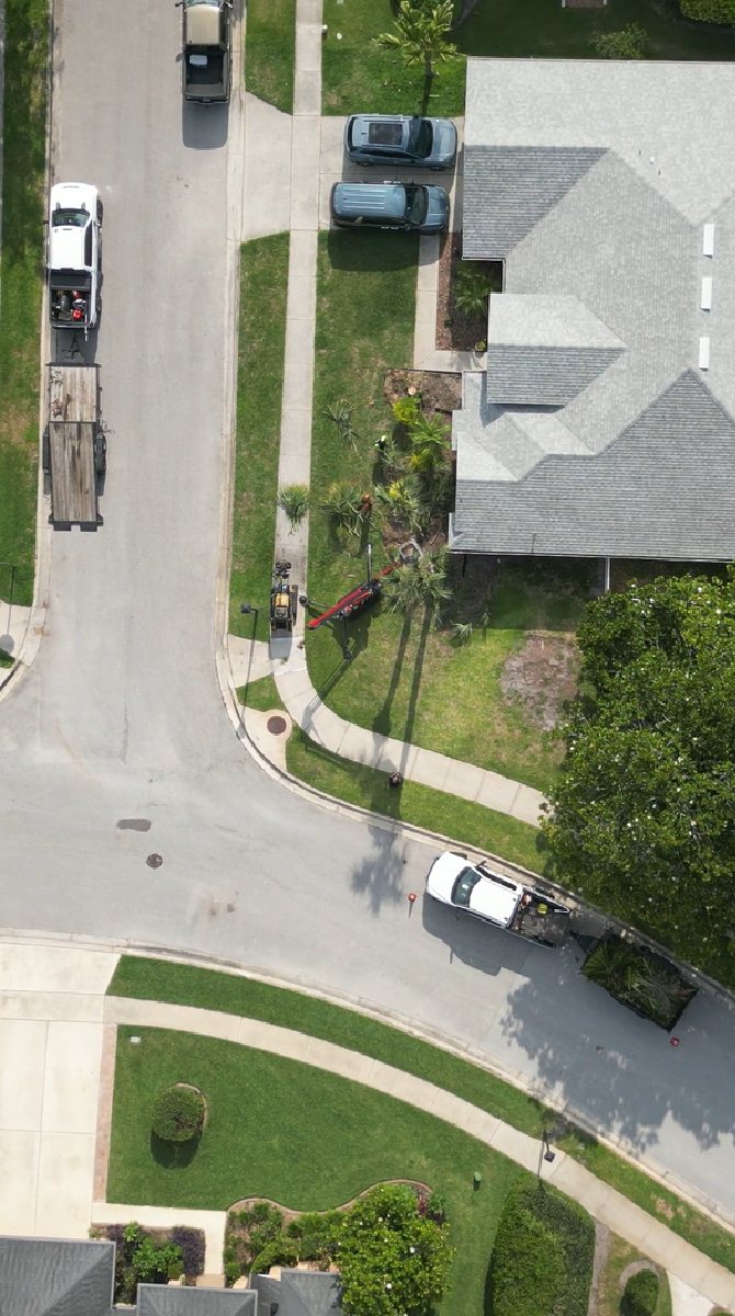 Neighborhood tree service
